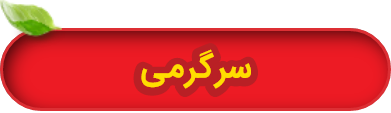 سرگرمی